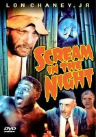 plakat filmu A Scream in the Night