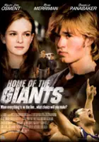 plakat filmu Ostatni mecz