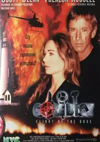 Plakat filmu Lot gołębicy