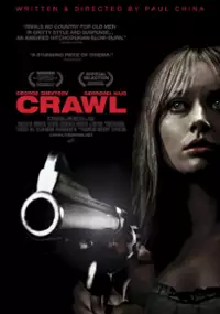 Plakat filmu Zabójca perfekcyjny