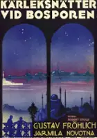 plakat filmu Die Nacht der großen Liebe