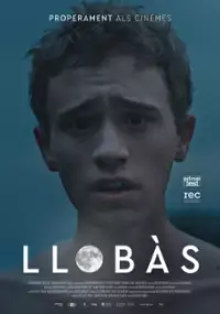 Plakat filmu Wilkołak