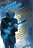 plakat filmu Lightning in a Bottle
