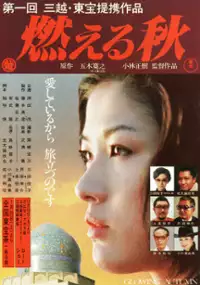 Plakat filmu Moeru aki