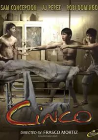 Plakat filmu Cinco