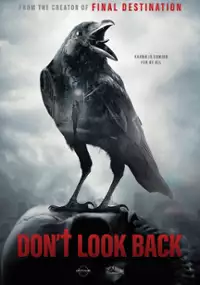 Plakat filmu Don't Look Back