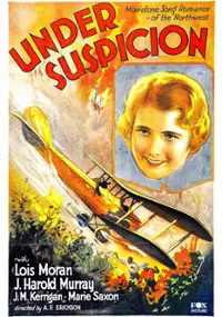 Plakat filmu Za grzechy brata