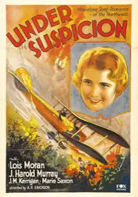 Plakat filmu Za grzechy brata