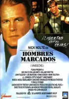 Jay M. Harding / $webTool.doNotEscapeHTMLSafe($film.getTitleByLocaleOrOriginalTitle($rc.locale))