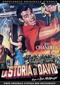 Plakat filmu A Story of David