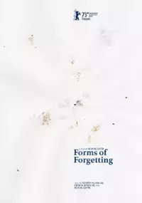 Plakat filmu Unutma Biçimleri