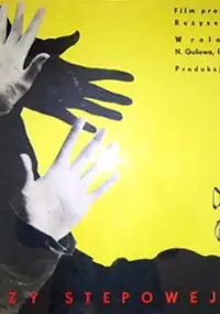 Plakat filmu W ciszy stepowej