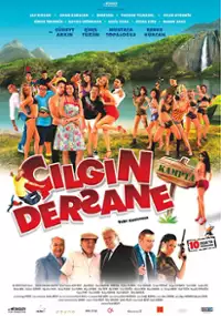 Plakat filmu &Ccedil;ılgın Dersane