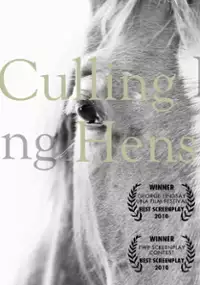 Plakat filmu Culling Hens