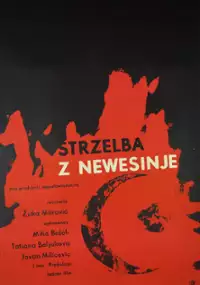 Plakat filmu Strzelba z Newesinje
