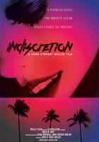 plakat filmu Indiscretion