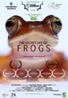 plakat filmu Tajemnice żab