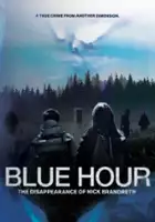 plakat filmu Blue Hour: The Disappearance of Nick Brandreth