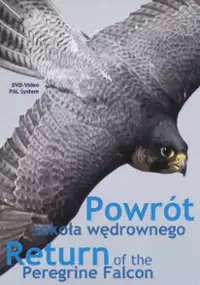 Plakat filmu Powrót sokoła wędrownego