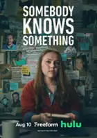 plakat serialu Somebody Knows Something