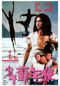 Plakat filmu Xiao nian Su Qi Er