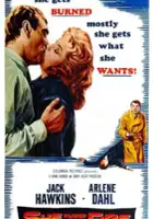 plakat filmu Fortune Is a Woman
