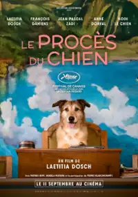 Plakat filmu Pies przed sądem