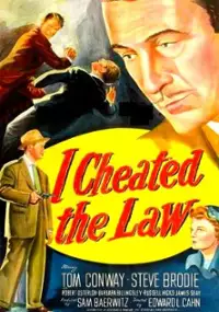 Plakat filmu I Cheated the Law