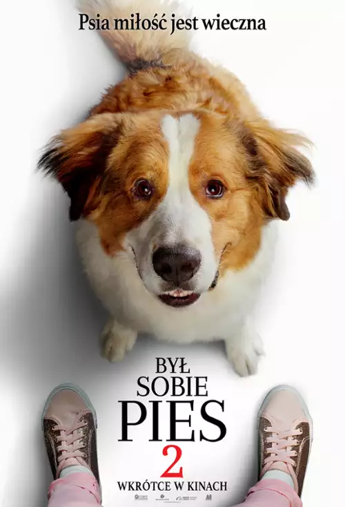 plakat filmu Był sobie pies 2