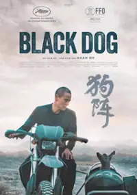 Plakat filmu Czarny pies