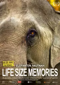 Plakat filmu Life Size Memories