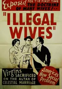 Plakat filmu Polygamy