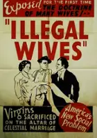 plakat filmu Polygamy