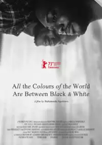 Plakat filmu Wszystkie kolory świata pomiędzy czernią a bielą