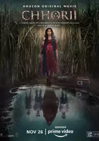 Plakat filmu Chhorii