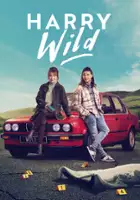 plakat - Harry Wild (2022)
