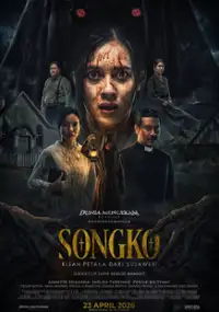 Plakat filmu Songko