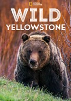 plakat filmu Dziki park Yellowstone