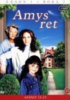 plakat filmu Potyczki Amy