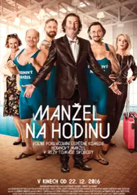 Plakat filmu Manžel na hodinu