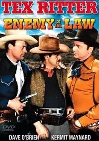 Plakat filmu Enemy of the Law