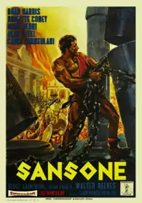 Plakat filmu Sansone