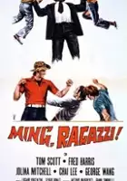 plakat filmu Schiaffoni e karate