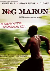 Plakat filmu Nèg maron