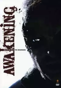 Plakat filmu Awakening