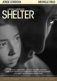 Plakat filmu Shelter