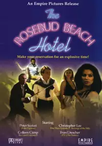 Plakat filmu Hotel "Pod Pączkiem Róży"