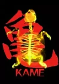 Plakat filmu Kame