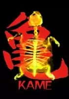 plakat filmu Kame