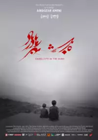 Plakat filmu Kabul, miasto na wietrze